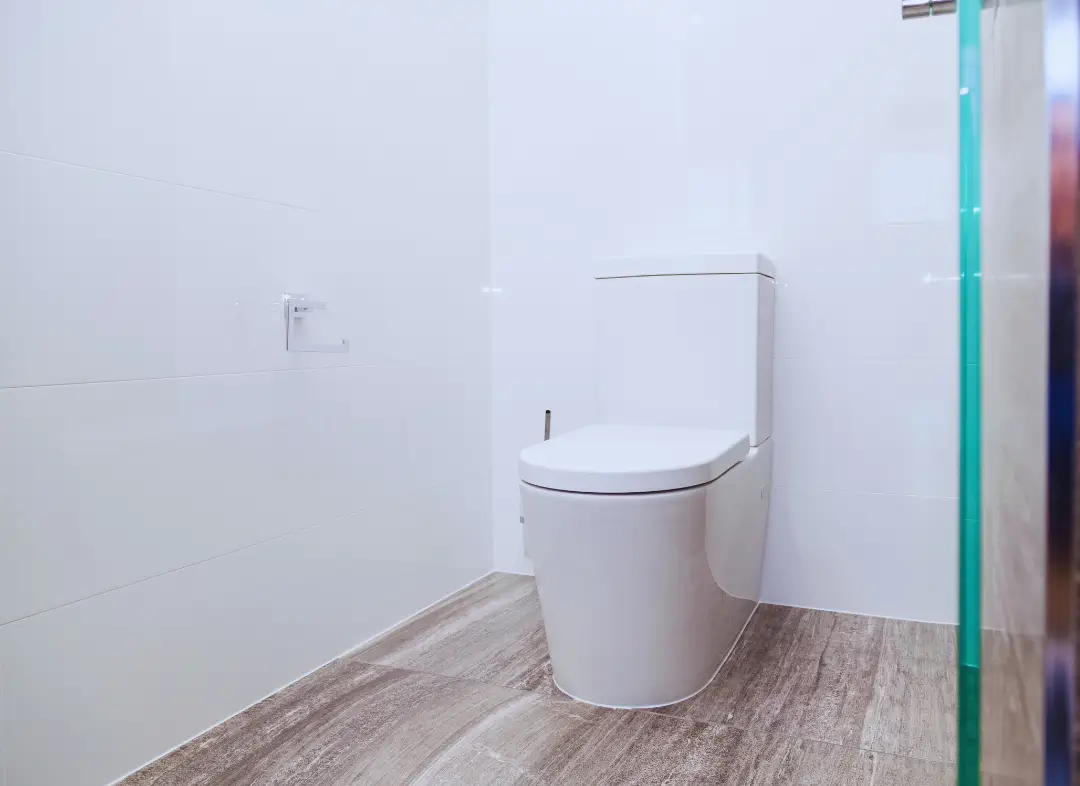 Remplacement de wc Hagondange